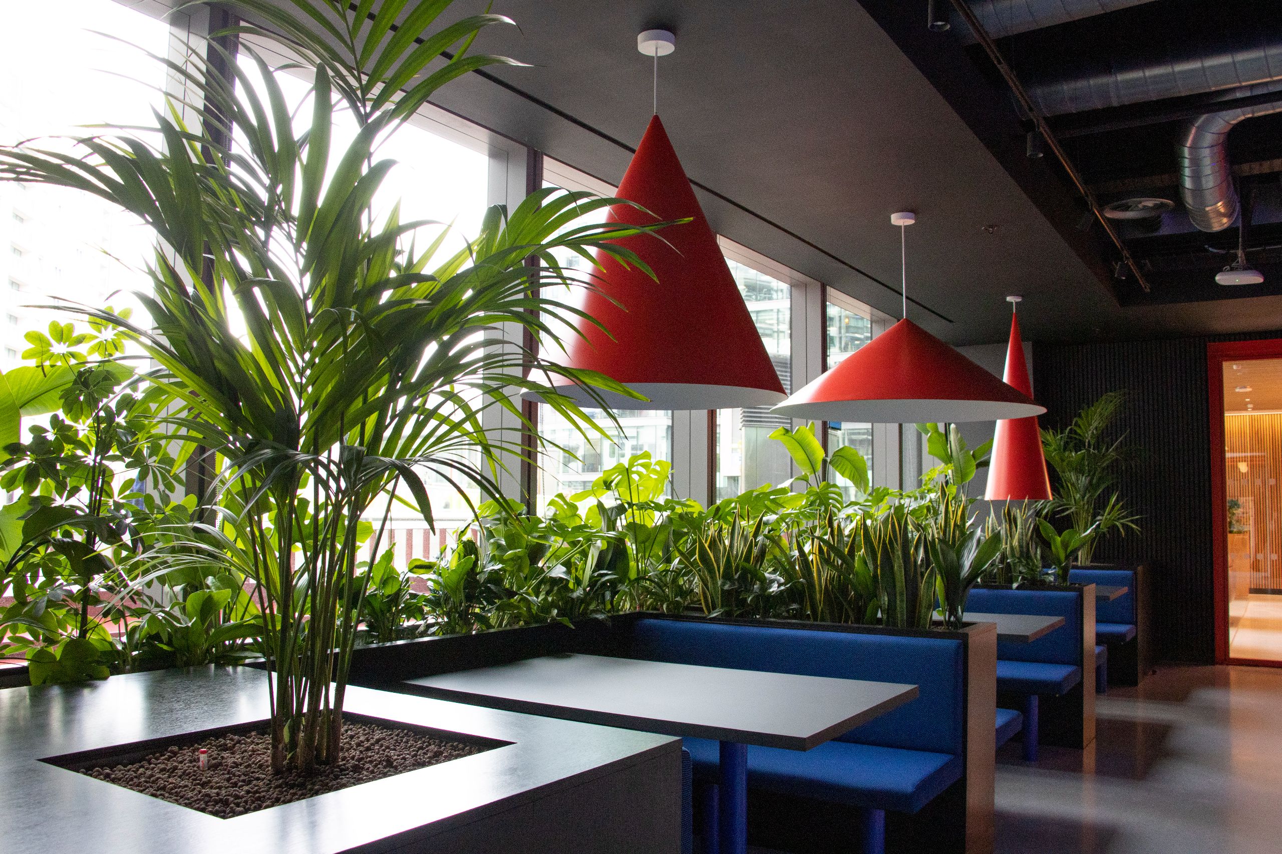 BALI National Landscape Award Plant Display Winner 2025