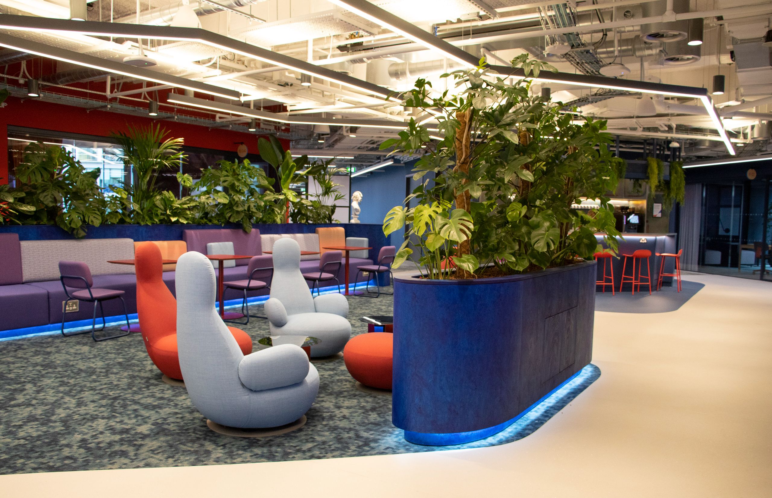 BALI National Landscape Award Plant Display Winner 2025