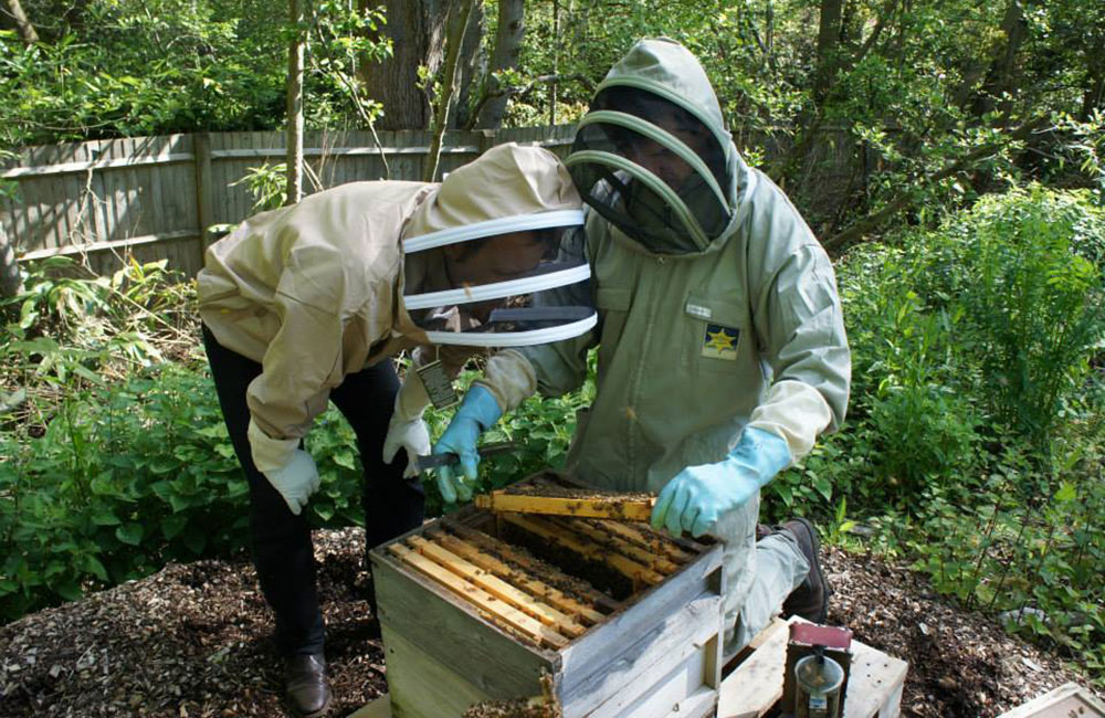 beehives, beekeepers & honey