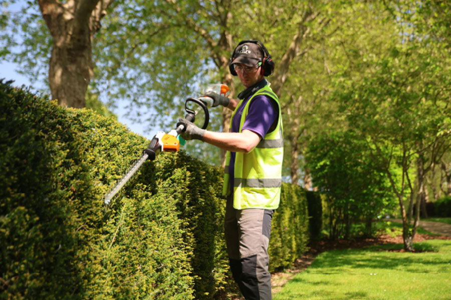 commercial hedge shaping services