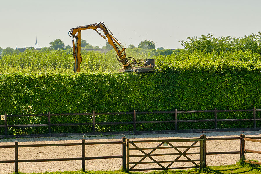 commercial large scale hedge mowing