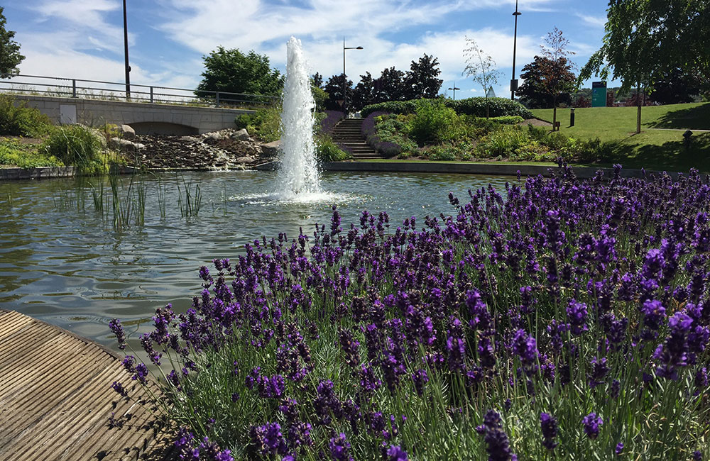 commercial pond construction services