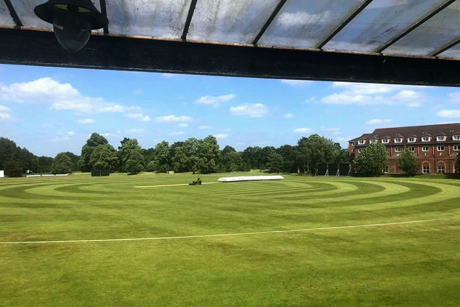 cricket pitch maintenance services