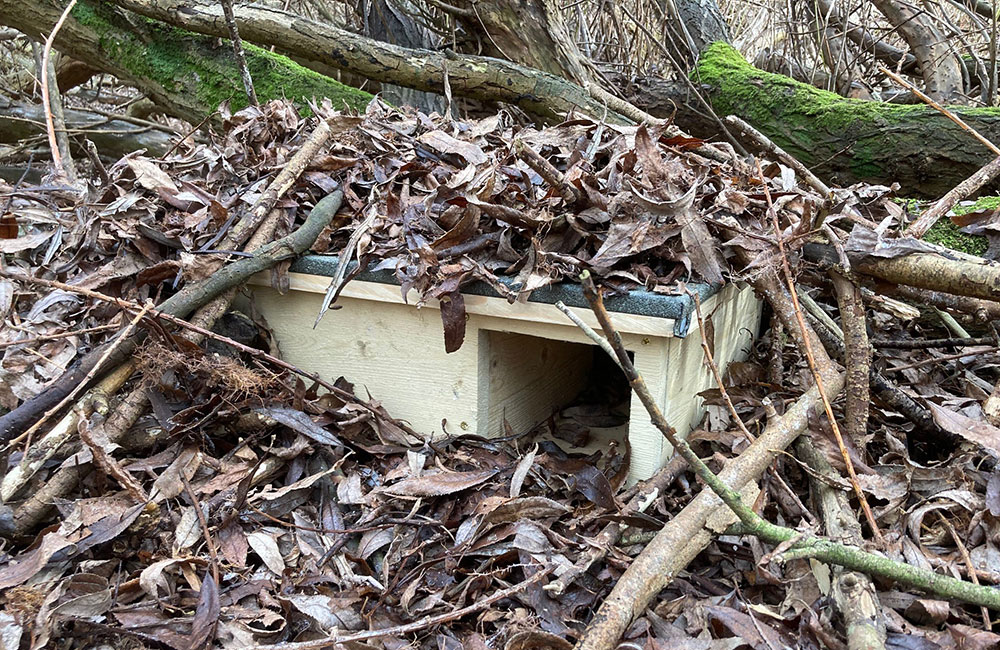 habitat creation & enhancement