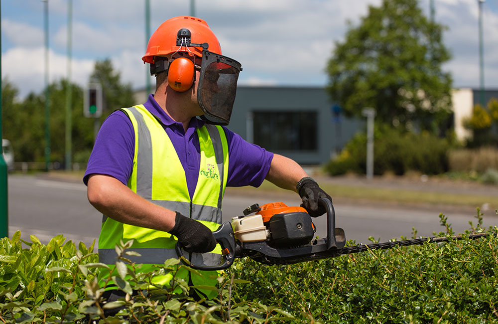 hedge trimming & shaping services