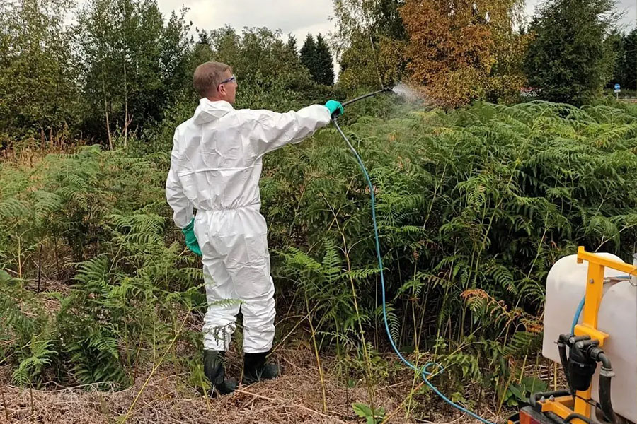 herbicide treatments and invasive weed management