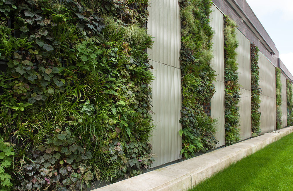 interior-&-exterior-plant-displays