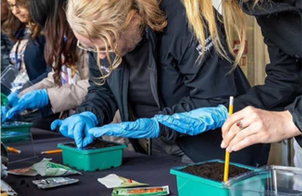 kitchen garden concepts