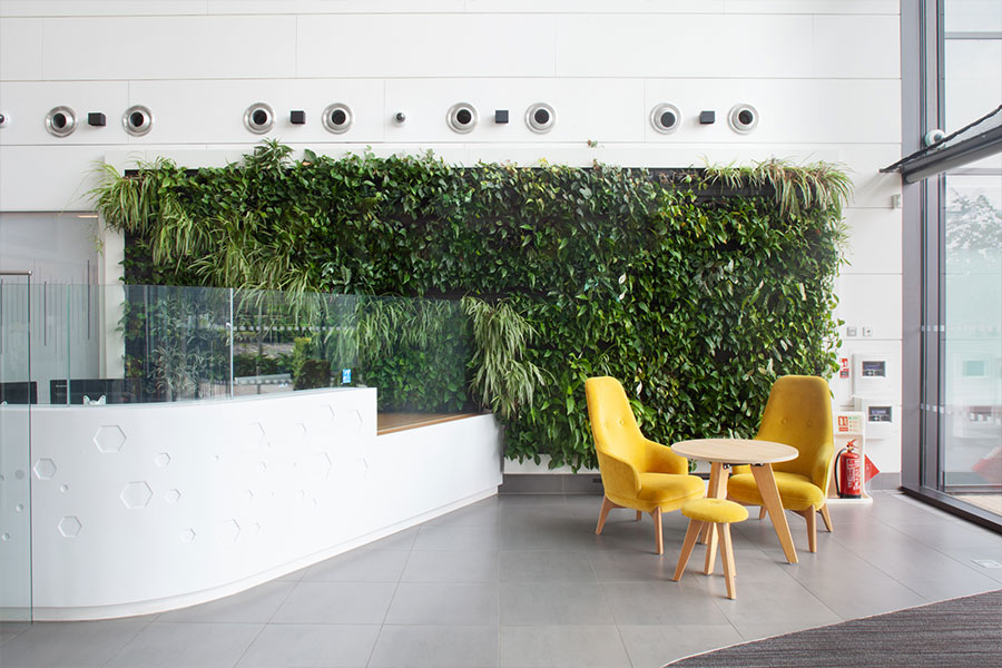 living walls for reception spaces