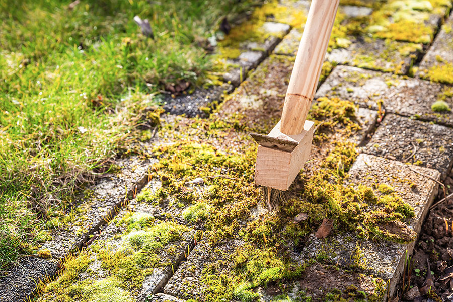 moss pathway clearance services
