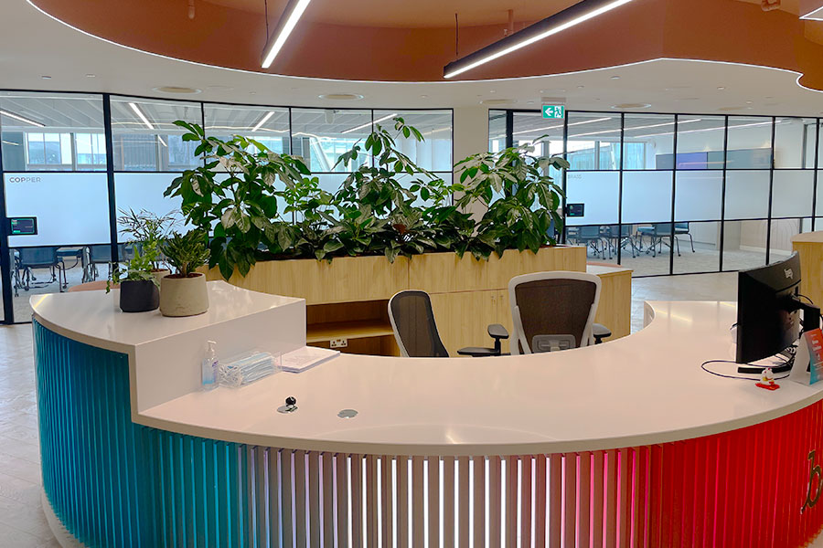 plants for reception areas