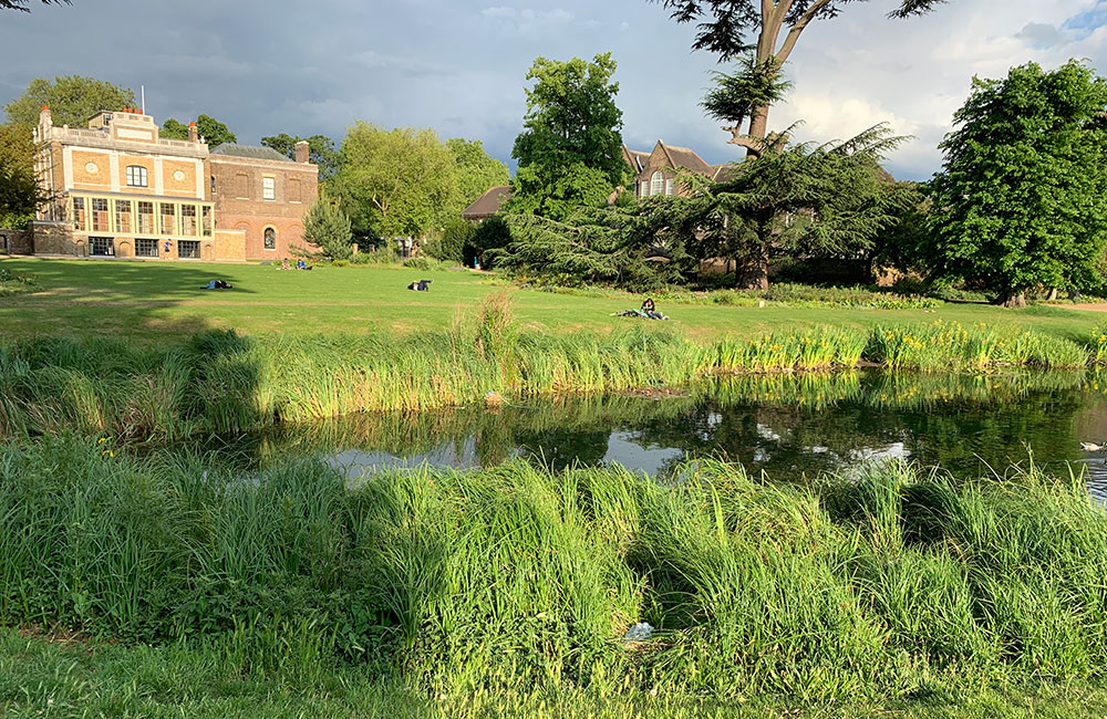 pond & lake aftercare & maintenance services