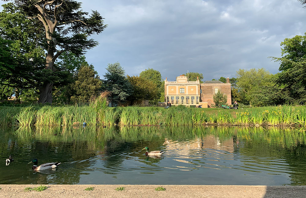 pond & lake restoration services
