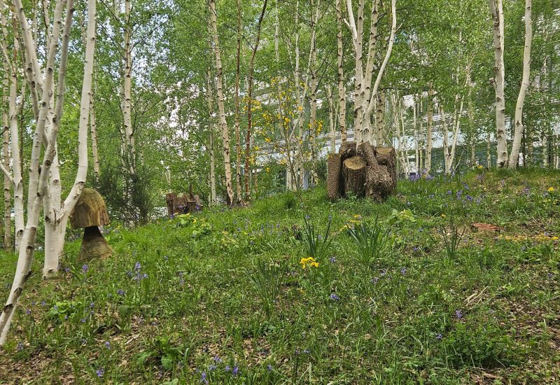 pro landscaper award shortlisted maintenance contract of 2025