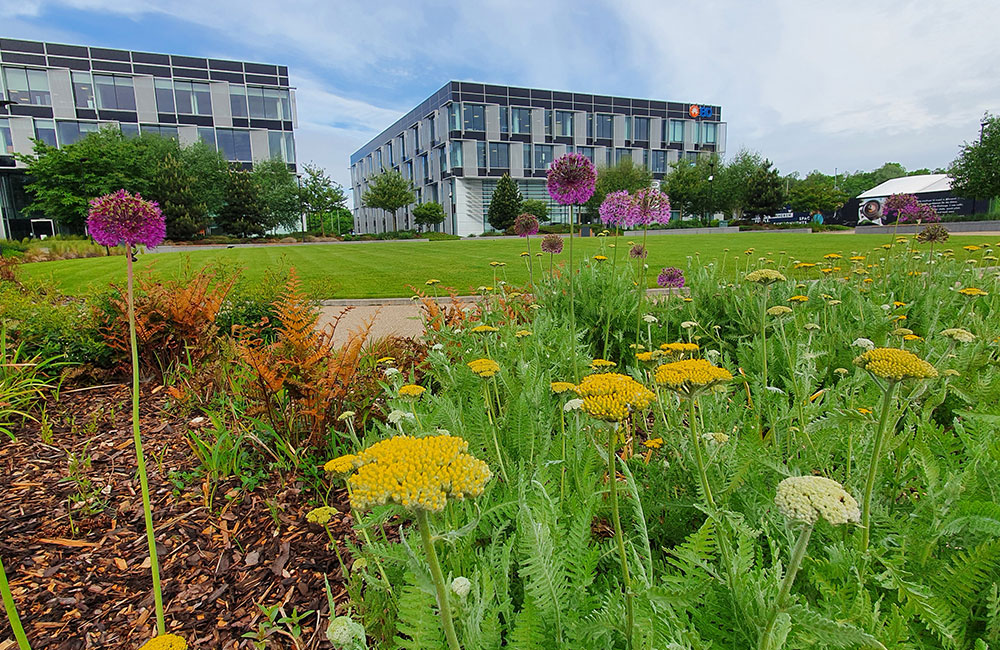 seasonal planting & bedding services
