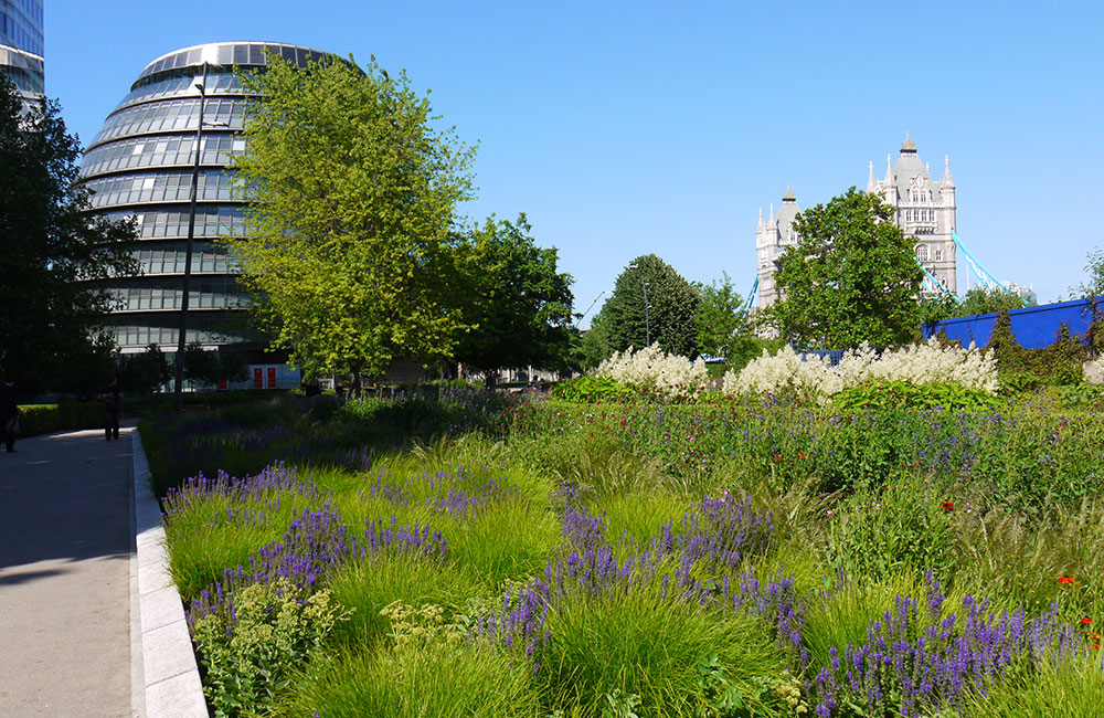 shrub bed & plant border maintenance services