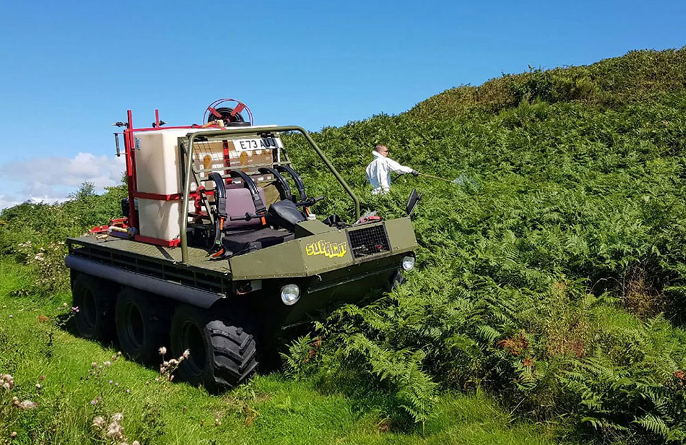 Vegetation management & clearance services