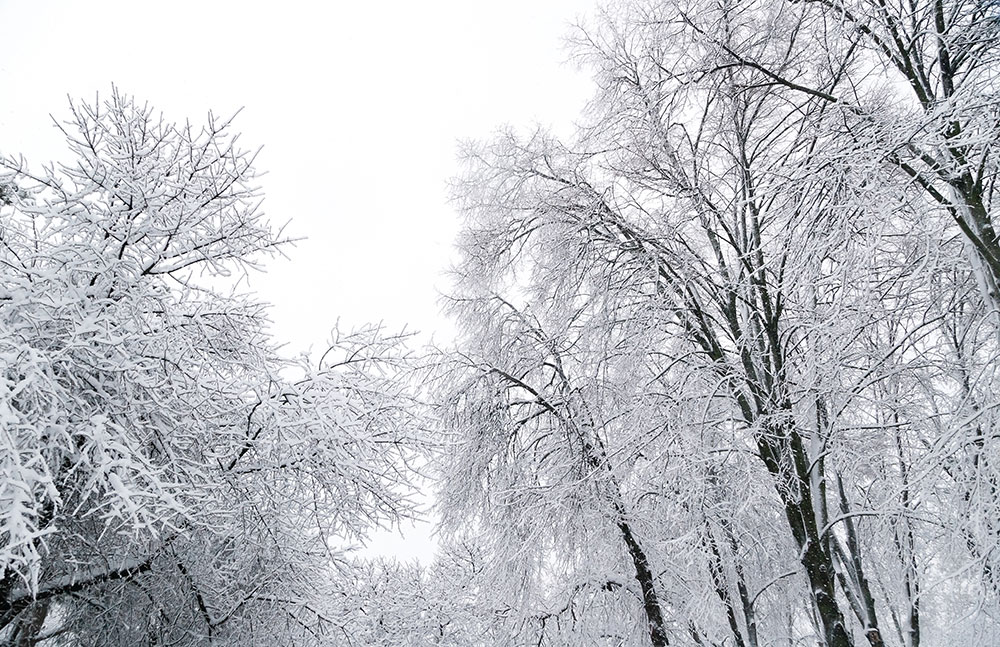 weather forecasting & monitoring service