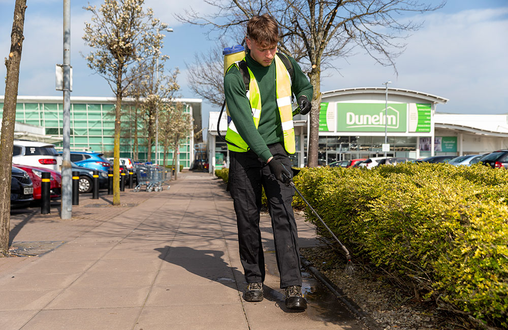 weed control services