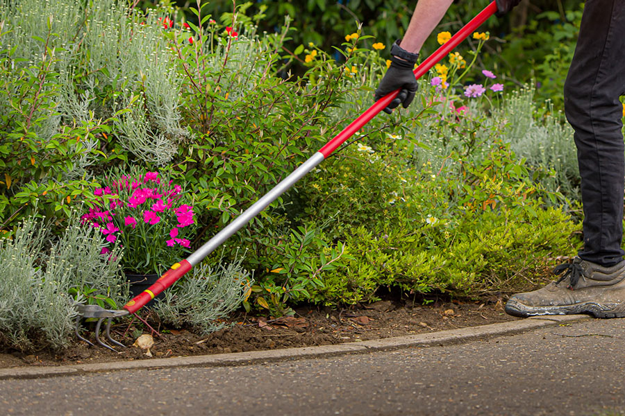 weed removal services