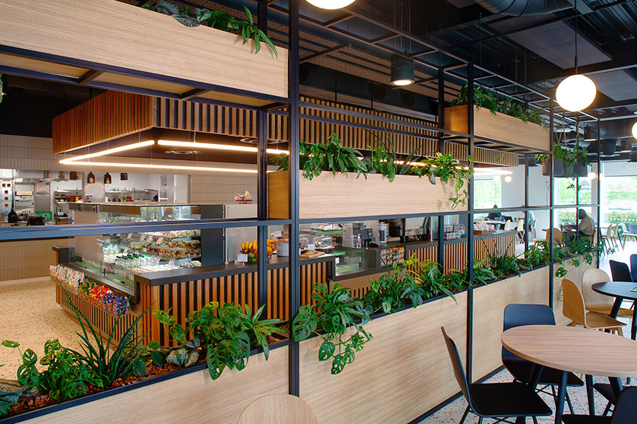 workplace green dividers and planted areas