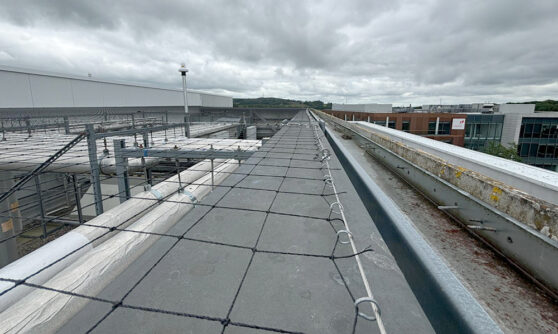 Bird proofing and bird bird netting