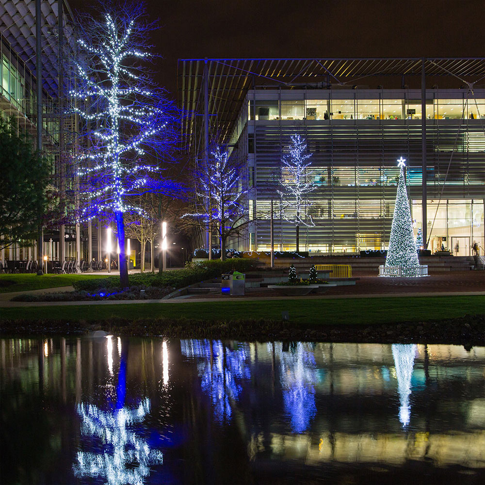 bespoke commercial christmas light installation services