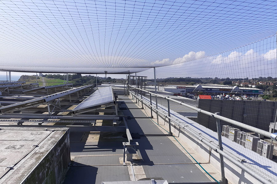 bird netting bird proofing services