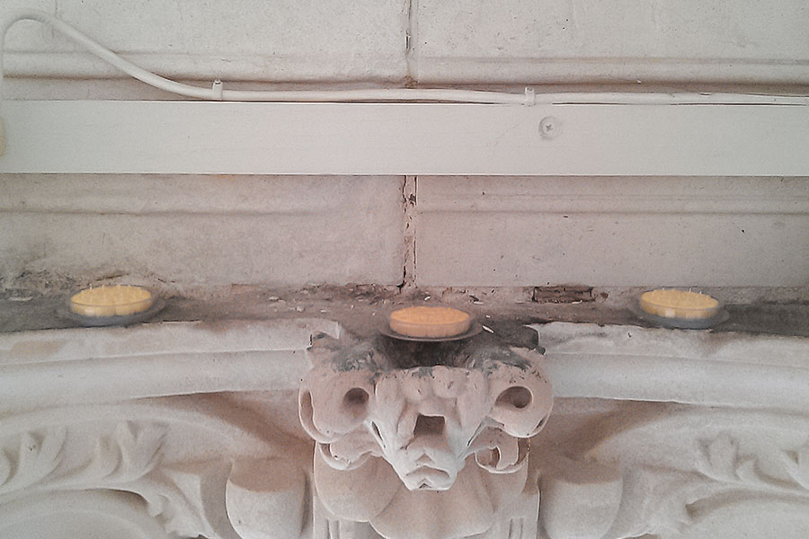 bird optical gels bird proofing services