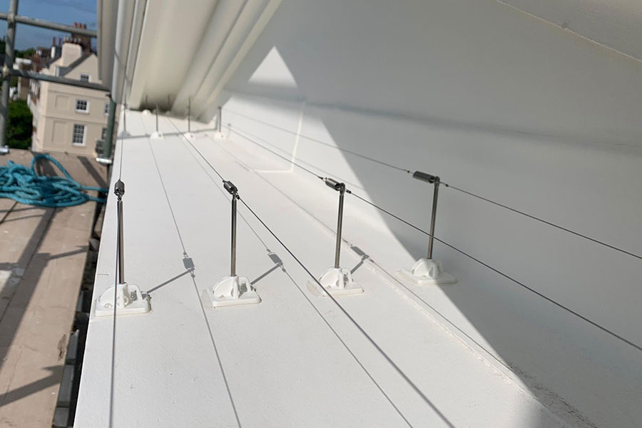 bird wire bird proofing services