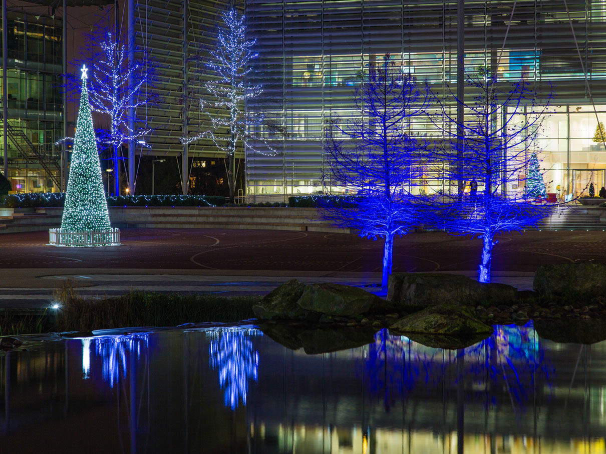 christmas light installations for business parks