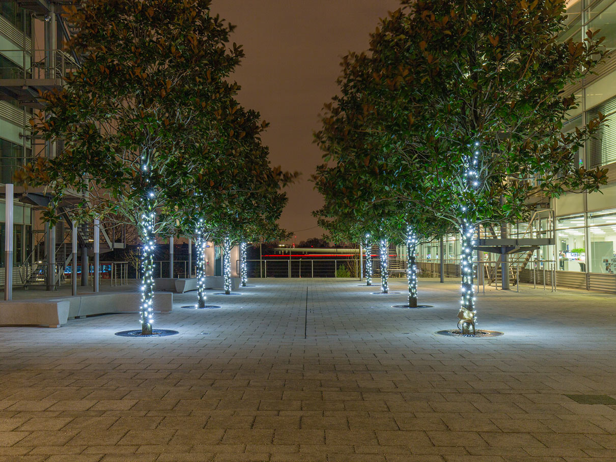 commercial tree wrap christmas light installation