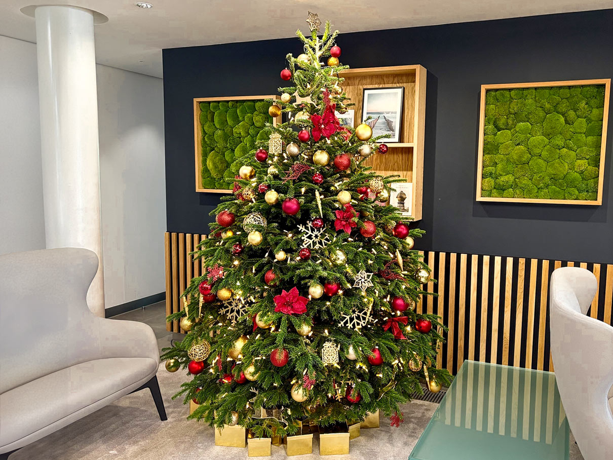 corporate office christmas tree hire installation