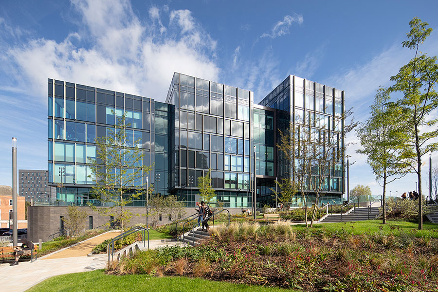 commercial landscape construction landscape and tree planting