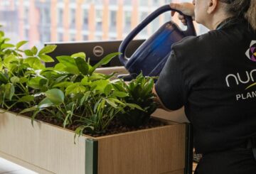 office plant rental services