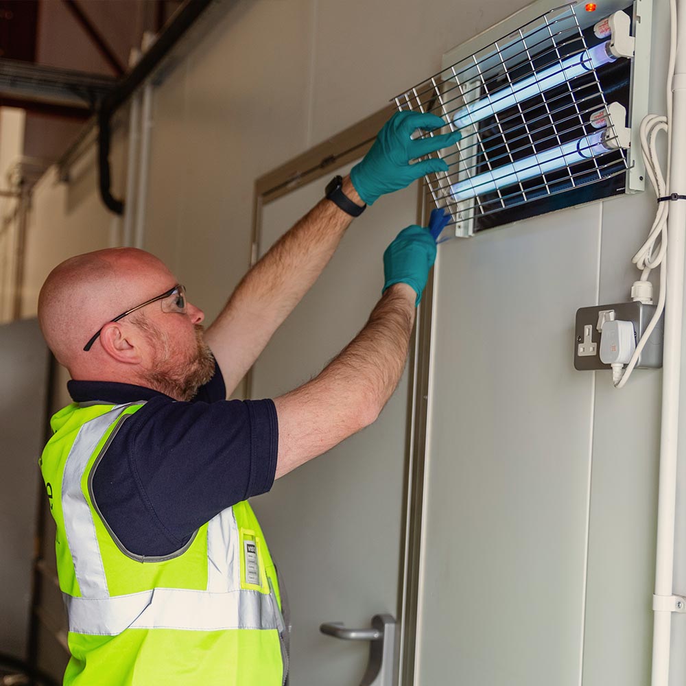 fly exterminator inspecting a commercial fly trap killer