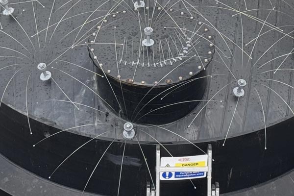 gull proofing installation