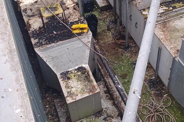 seagull droppings before clean up