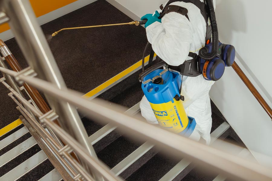 Targeted cockroach pest control treatment in UK residential property