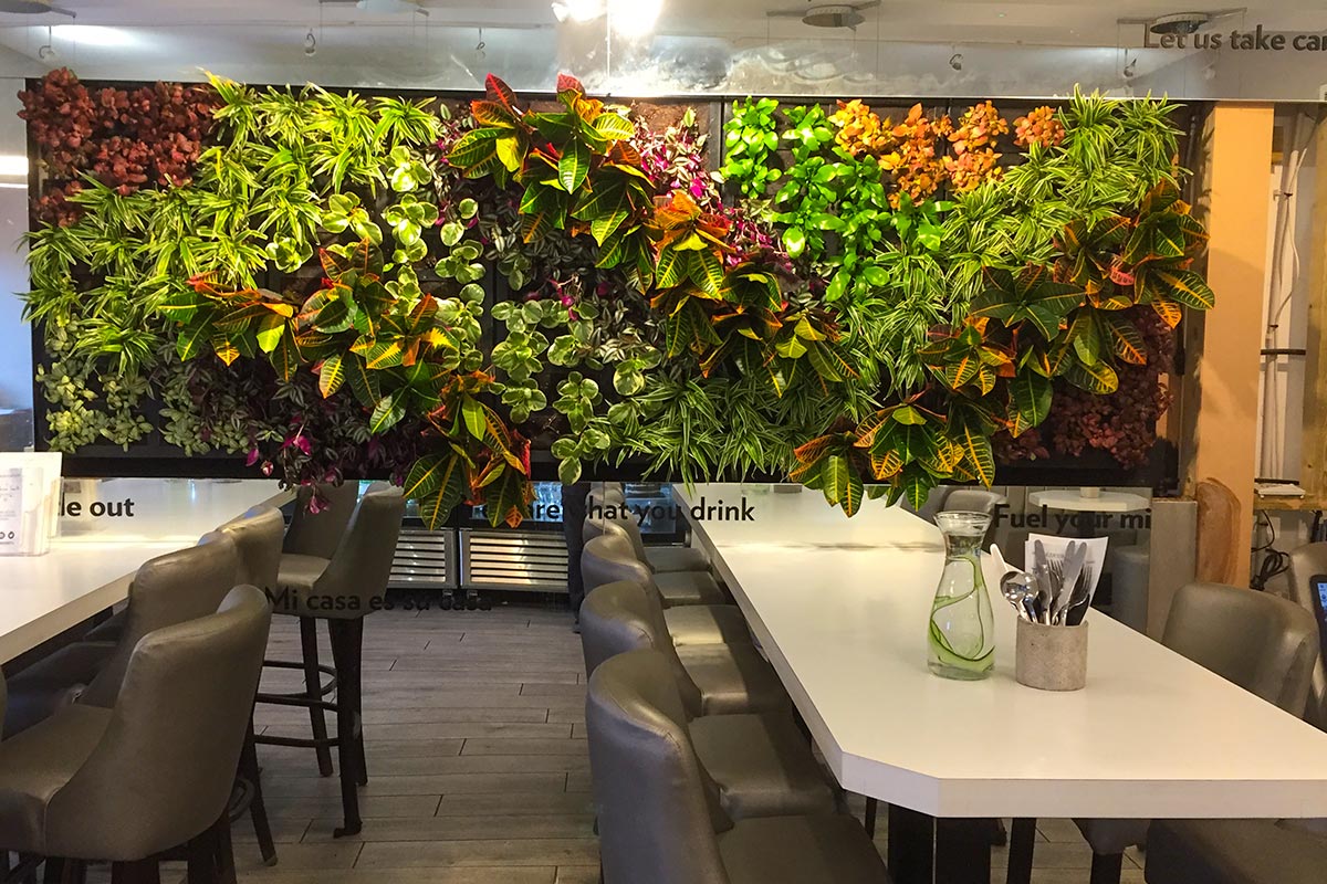 communal break room cafeteria corporate office living plant wall installation