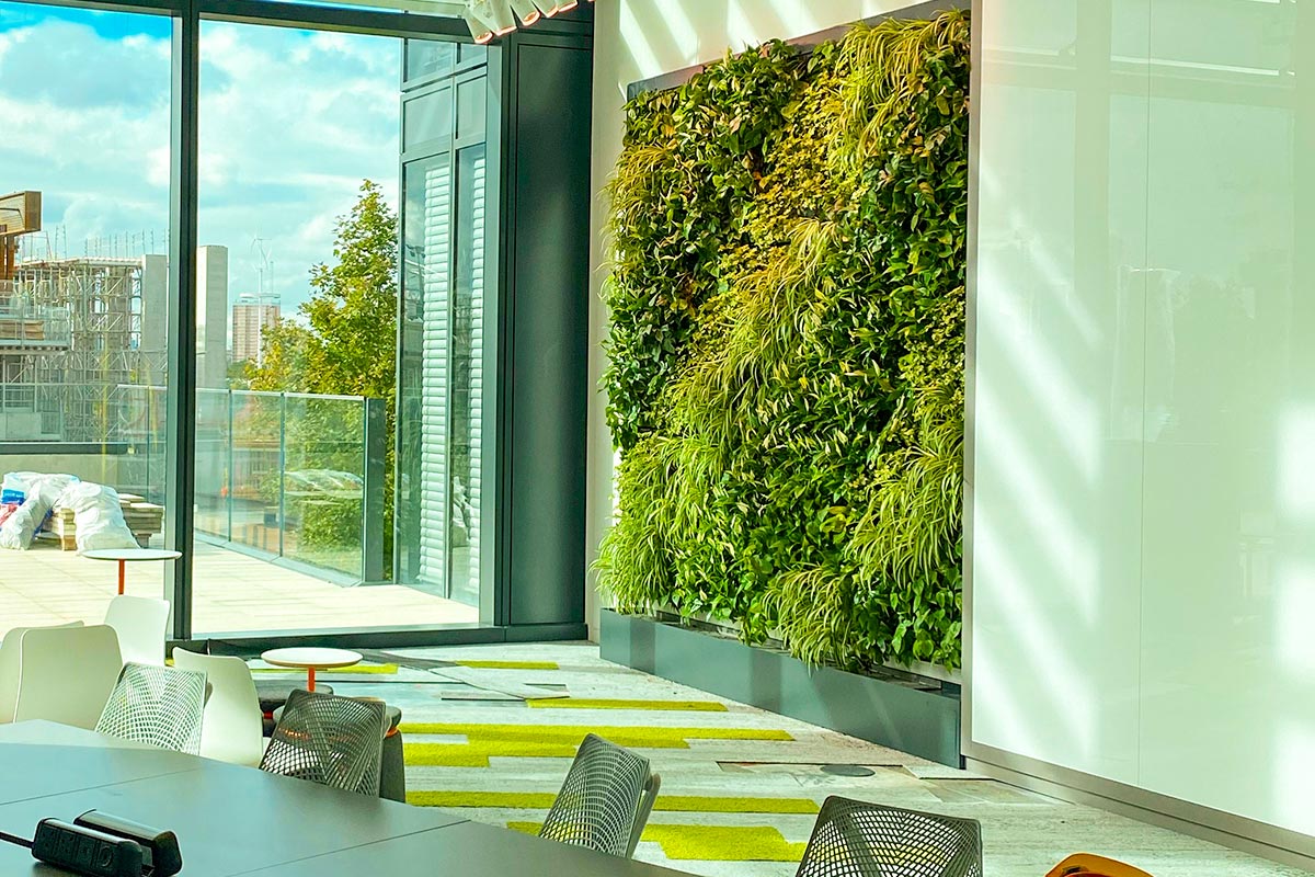 living plant wall installation in a meeting room