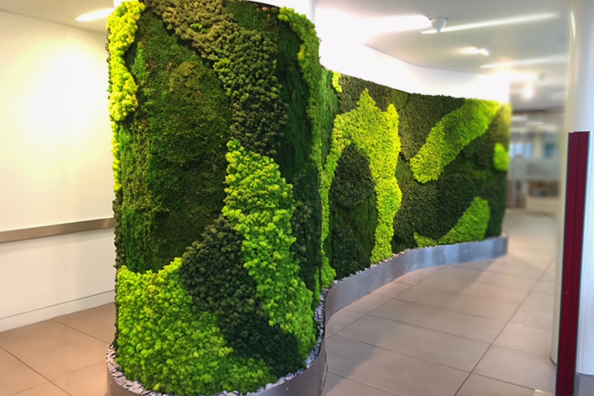 corporate office corridor preserved moss wall installation
